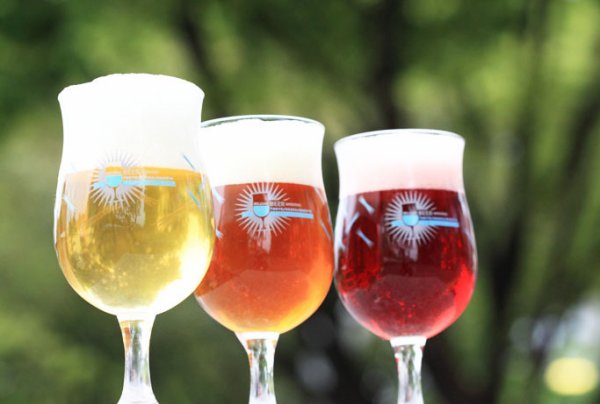 【通販の美味しいお酒】ベルギー産フルーツビールおすすめ8選